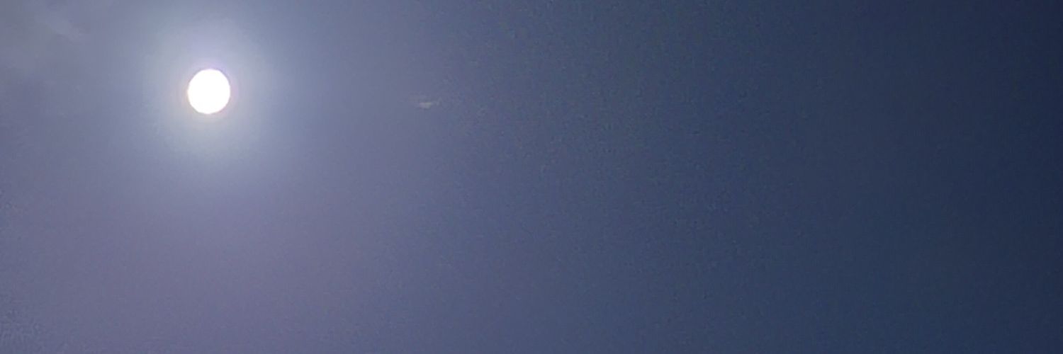 leonascimentos_'s profile banner image