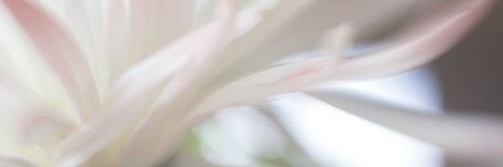 Jemima. banner