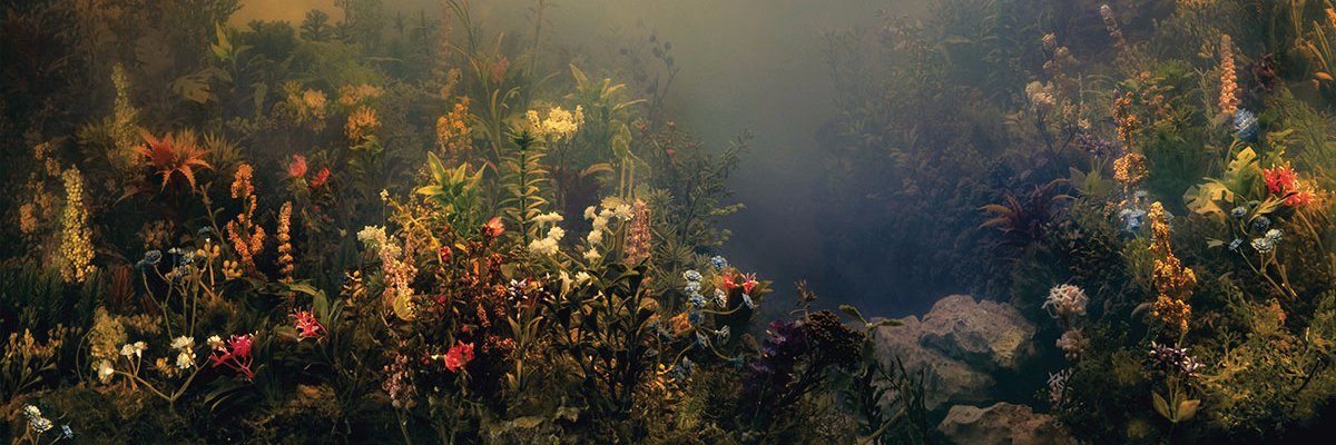 chopchopkins's profile banner image