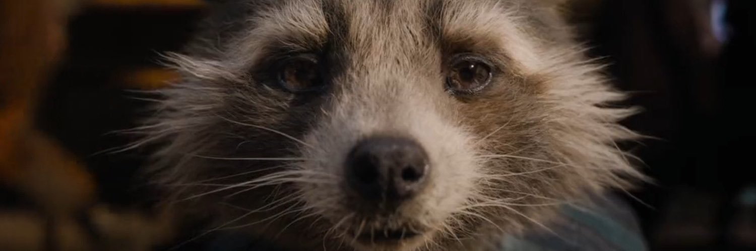 papperony's profile banner image