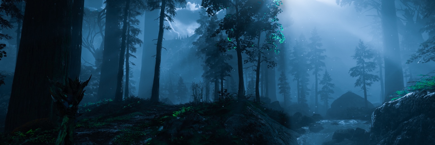 maybirdvp's profile banner image