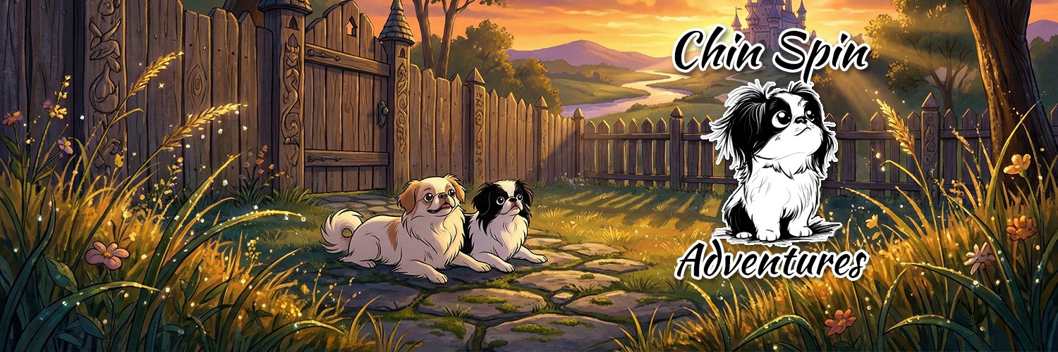 Chin Spin Adventures banner