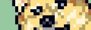 NoChoice banner