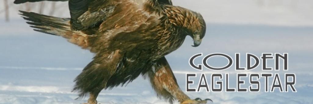 SeerApocalypse's profile banner image