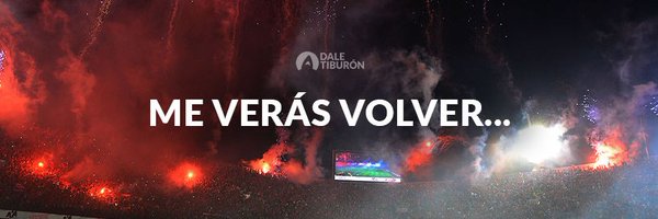 DaleTiburonCom Profile Banner