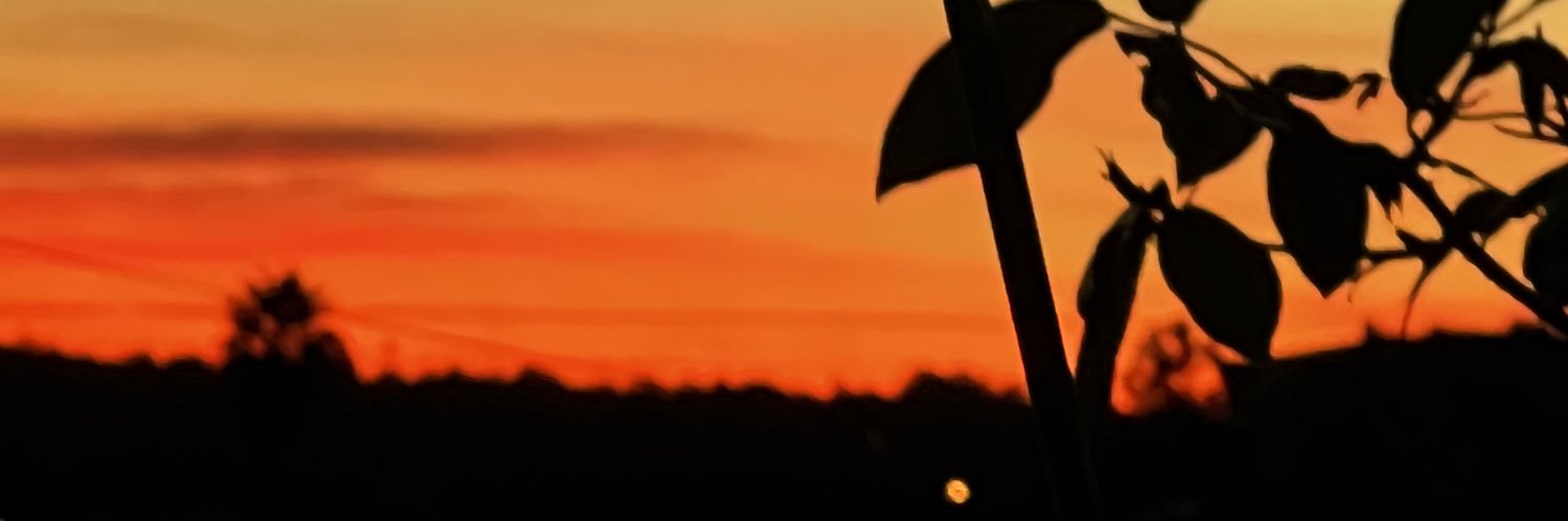 mythoxyl's profile banner image
