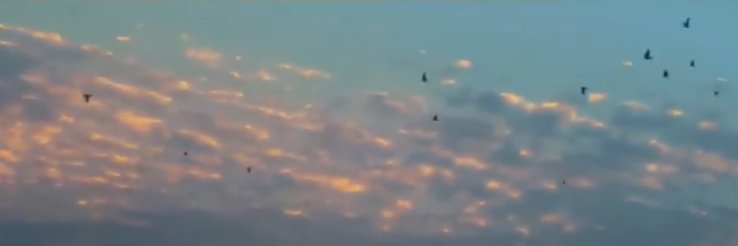 Tannie ᶦˢ ˡᶦˢᵗᵉⁿᶦⁿᵍ ᵗᵒ ᵇᶦᵍ ᵒᶜᵉᵃⁿ banner