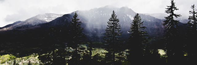 DmitryShevcov's profile banner image