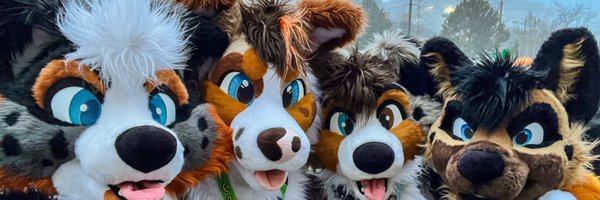 BriarCollie Profile Banner
