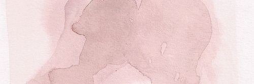 🏳 banner