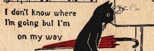 AlidaPotterhead's profile banner image