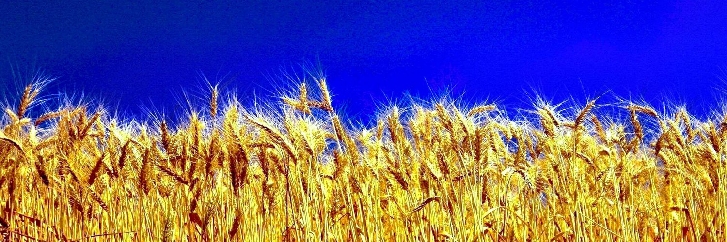 Gomer Simpson banner