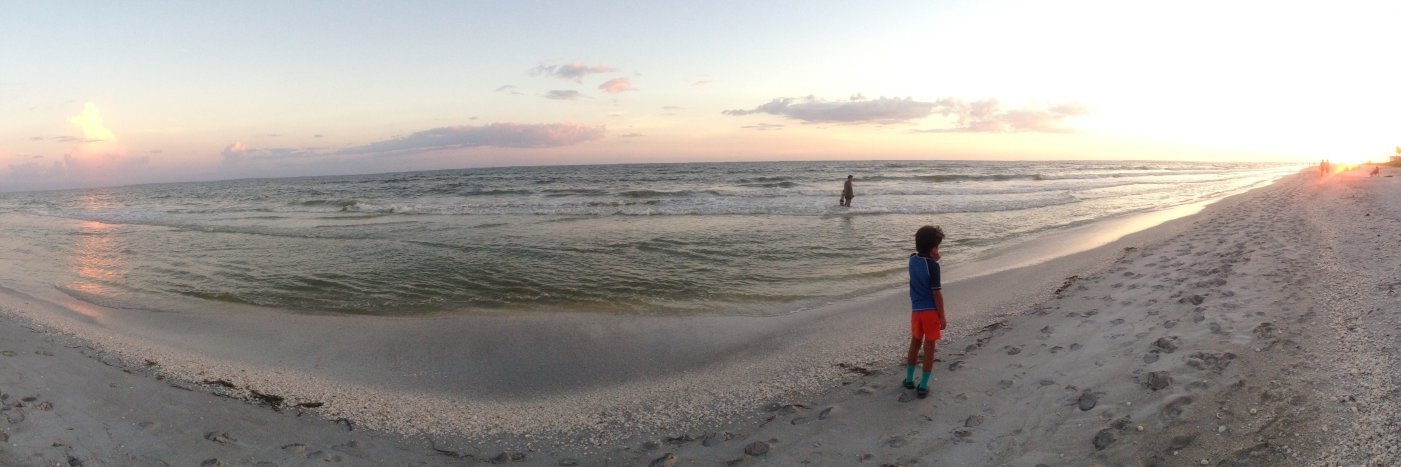 Debbie Howard banner