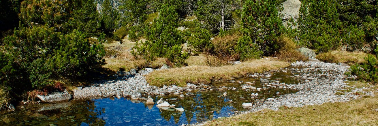 fishbouchard's profile banner image