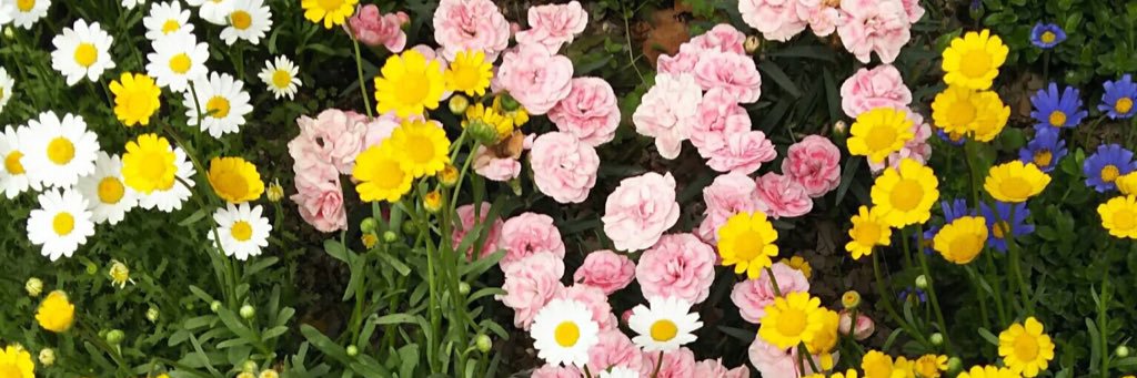 りんごあめ banner