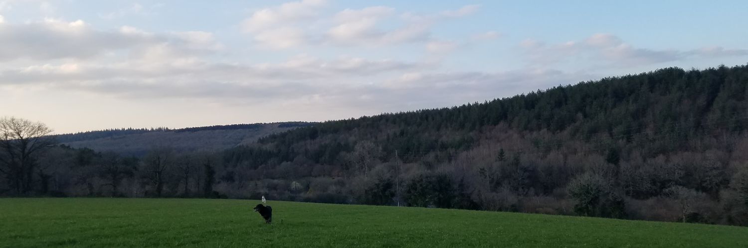 iefpourtous's profile banner image