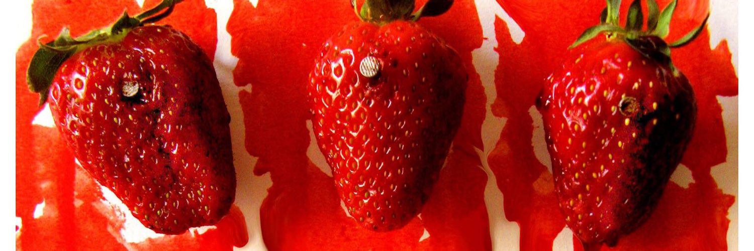 dytserapakyol's profile banner image