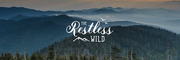 therestlesswild Profile Banner