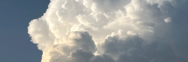 Vorticity4401 Profile Banner