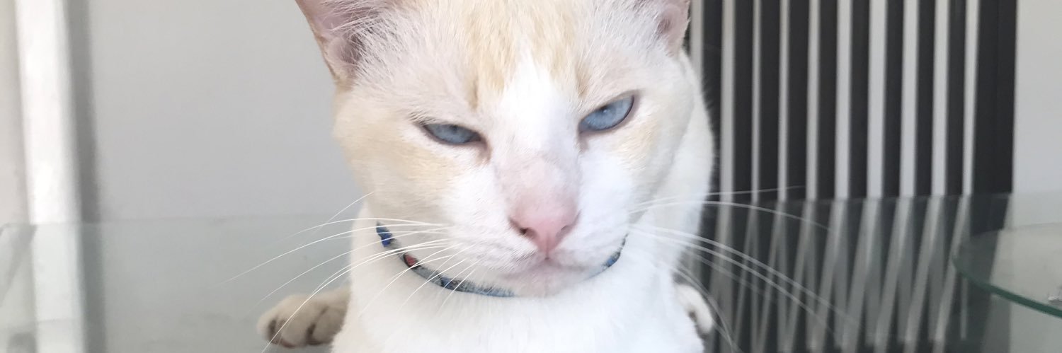 beyarog's profile banner image