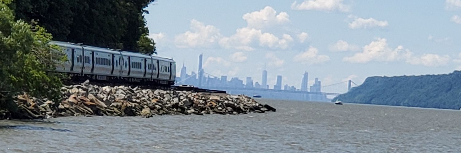 beachpig's profile banner image