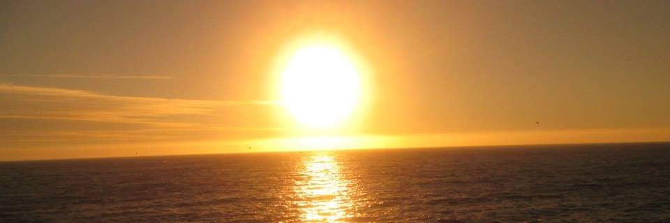 somerville_cris's profile banner image