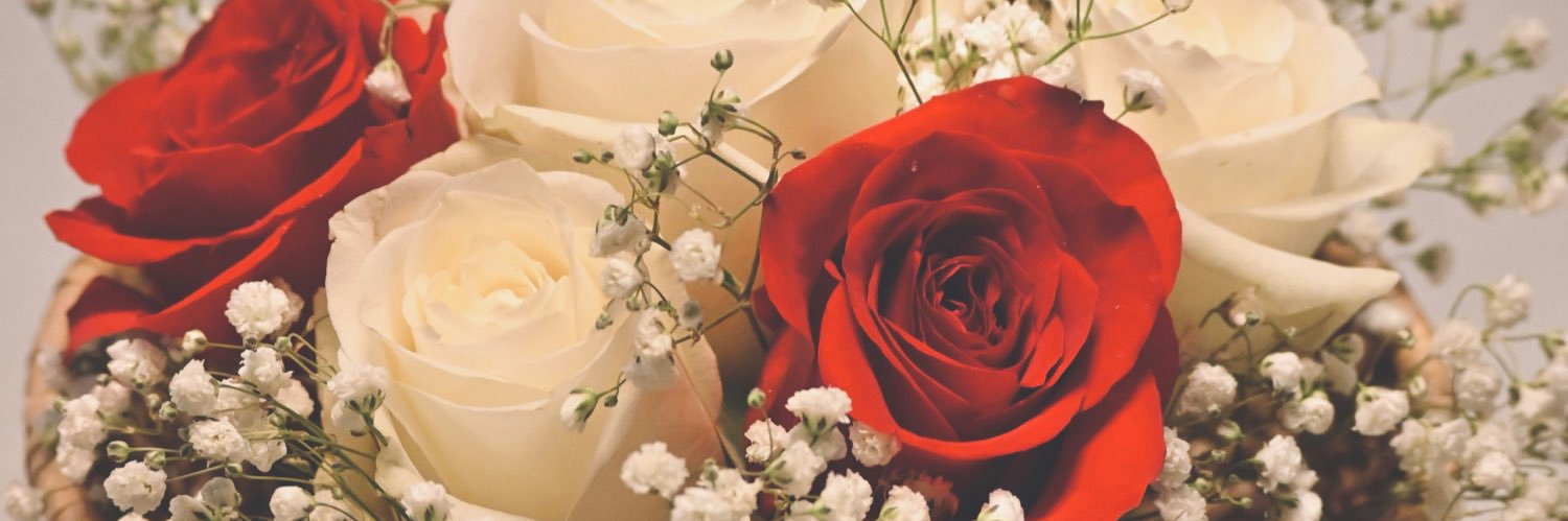 rio_7hs2's profile banner image