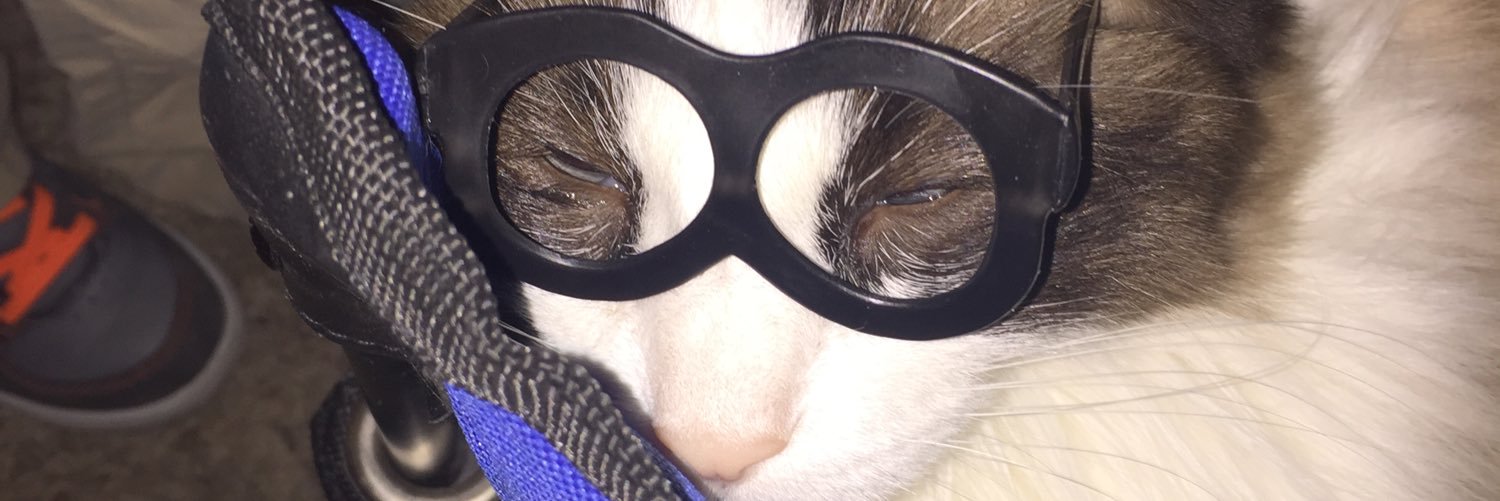DLSNewton's profile banner image