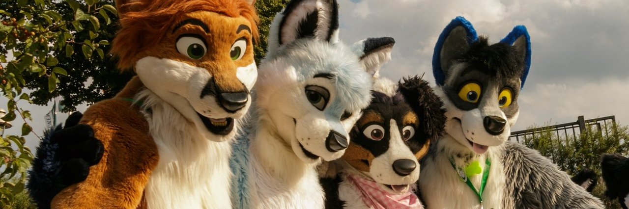 BornyFox's profile banner image