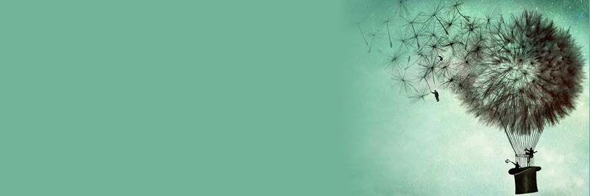 Irmkocasleymn's profile banner image