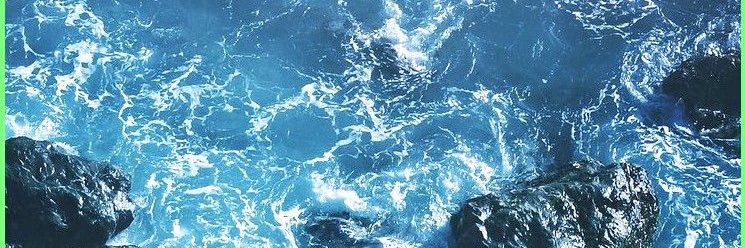 shelmcallister's profile banner image