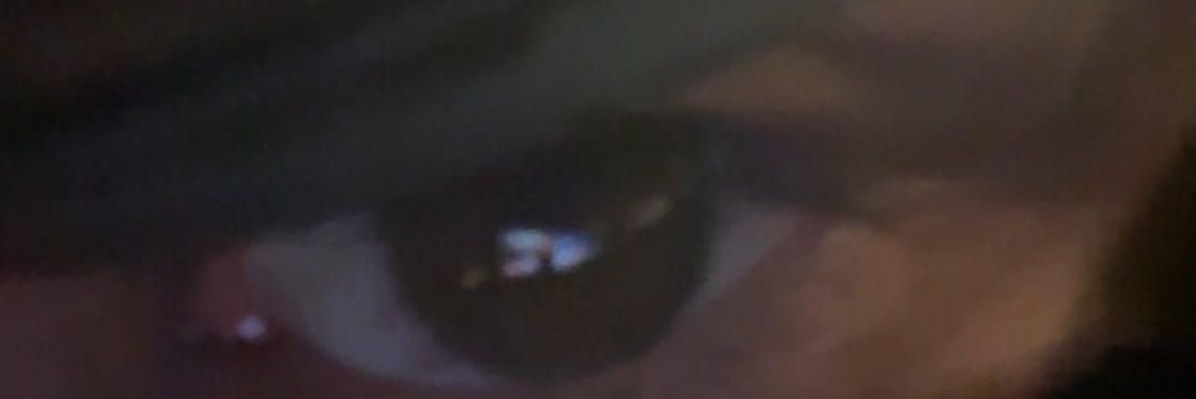 trebee_52's profile banner image