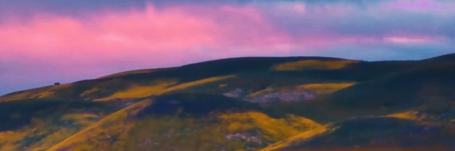 steve 1 banner