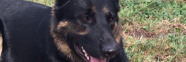 creight Profile Banner