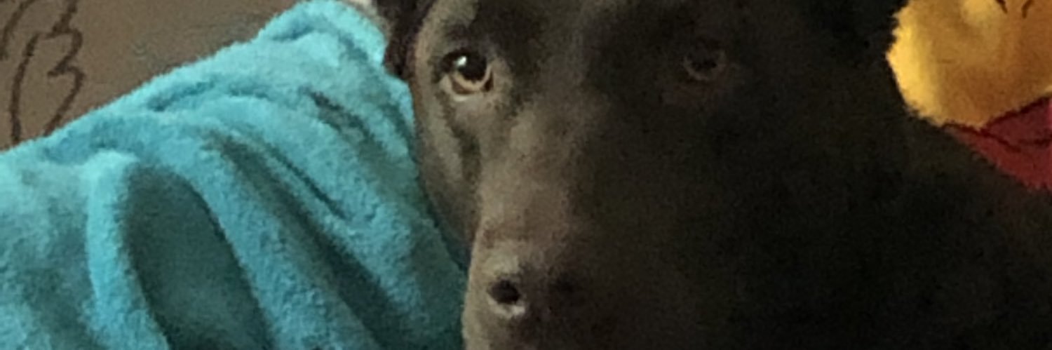 daydo24's profile banner image