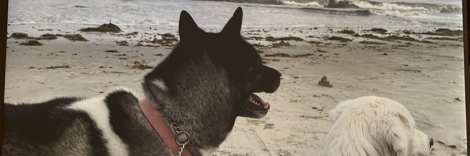 jackdobbi9's profile banner image