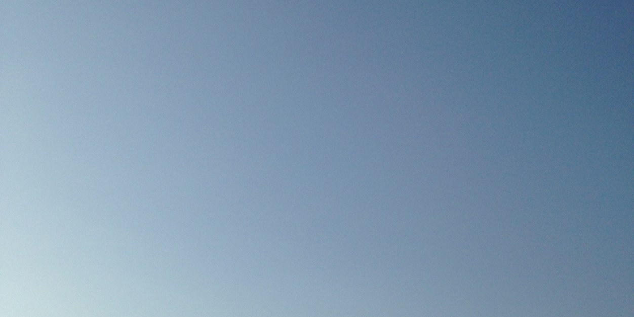 Alina Cojocaru banner