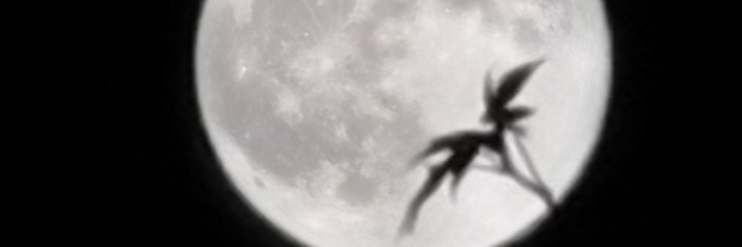mfmrmfmf's profile banner image