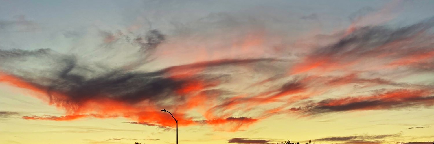 t🦋 banner