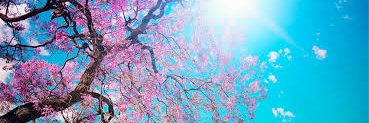 saadhaider32's profile banner image