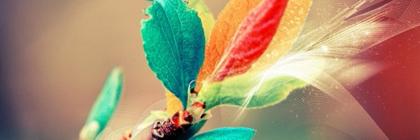 ManhLam98 Profile Banner