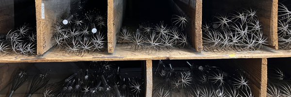 fishmegs Profile Banner