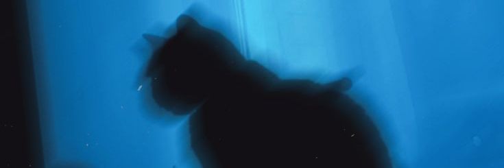 𝐉 banner