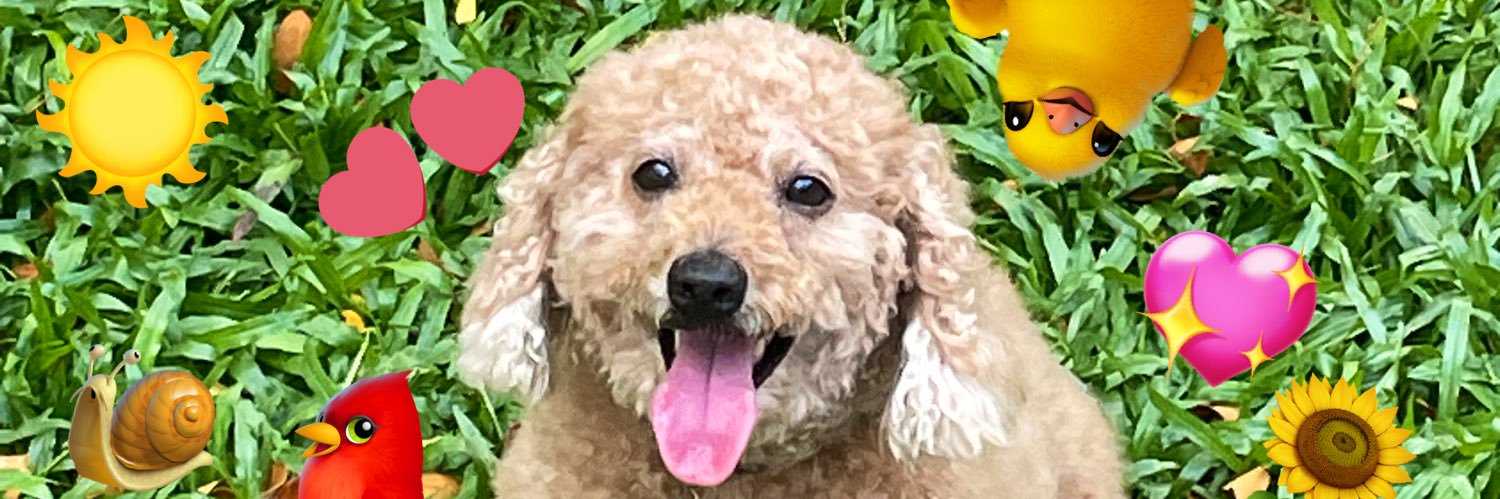 LuytLe 🐬TermMax banner