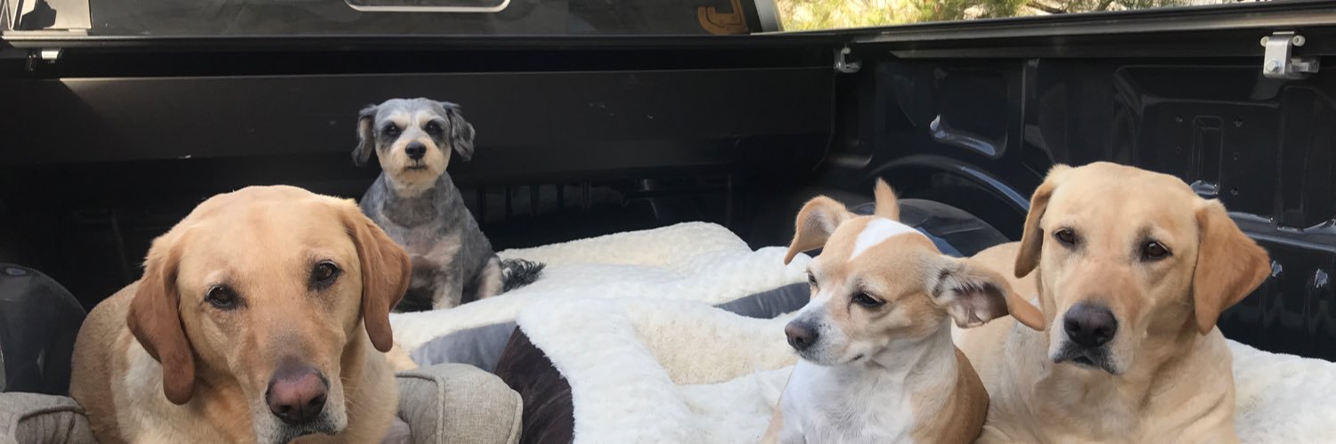 MJ Maynard-Carey banner