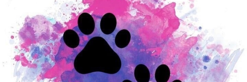 TinaSerg's profile banner image