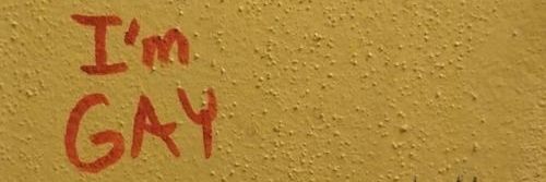 𝘾𝙊𝙍𝙀𝙔 𝙍𝙊𝙎𝙎 !!! banner