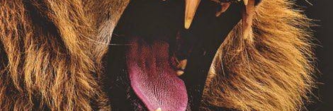 Sugar and spice😁 banner