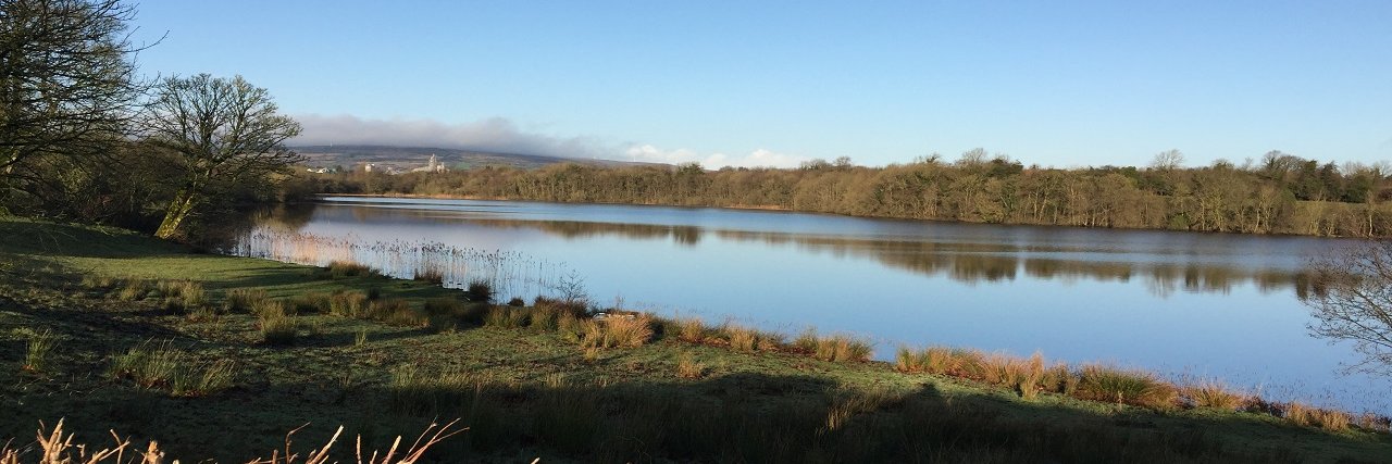 Niamh Fitzgerald banner