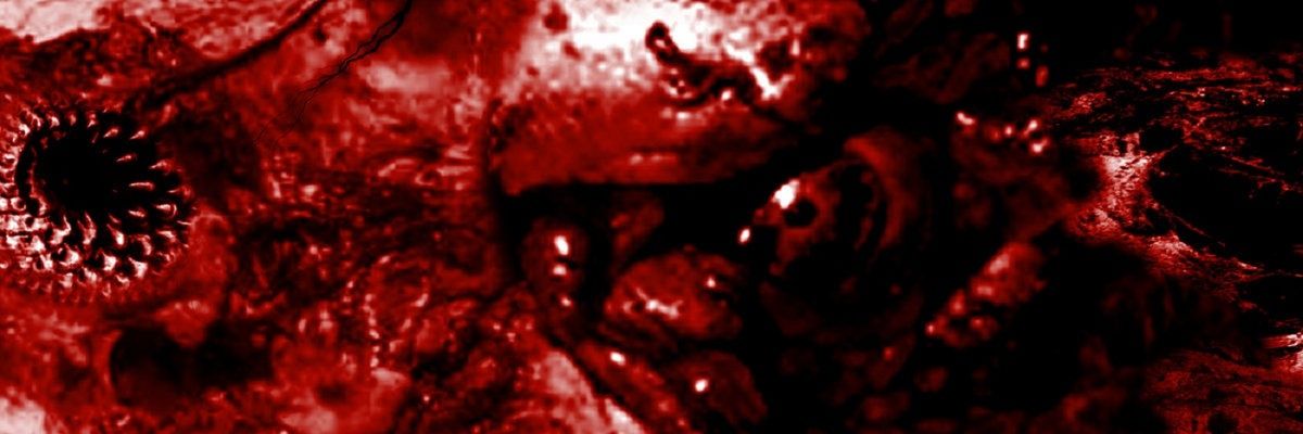 _pgcx's profile banner image